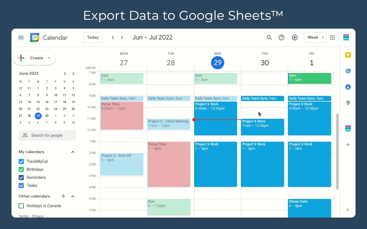 Export data to Google Sheets from TrackMyCal